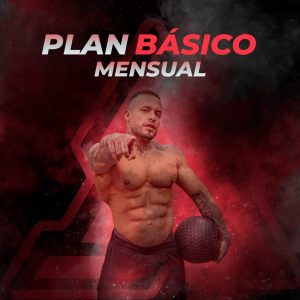 Básico Mensual